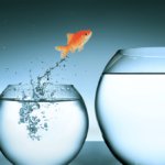 Dr. Raúl Côrte-Real